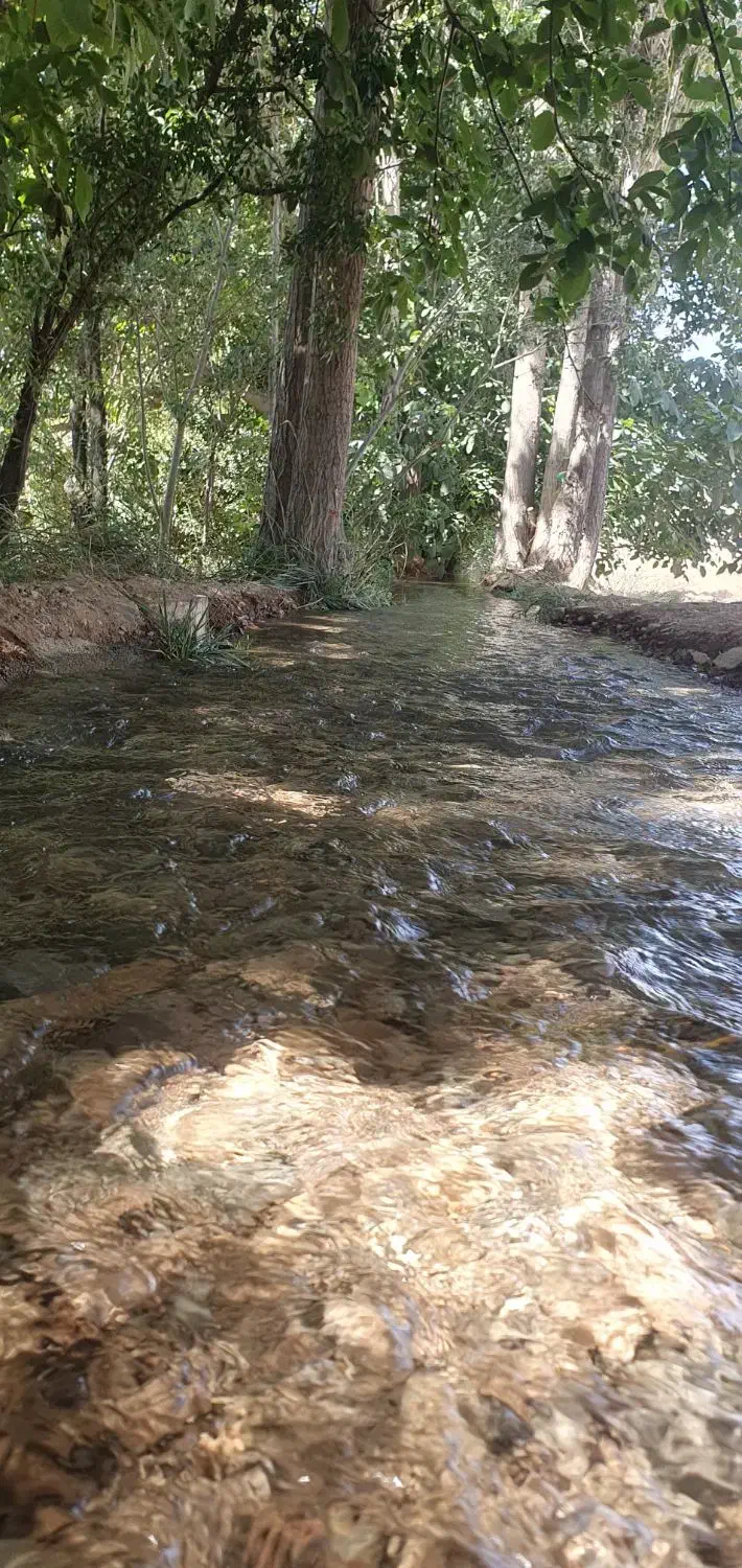 استخدام نگهبان باغ|استخدام سرایداری و نظافت|وحیدیه, |دیوار