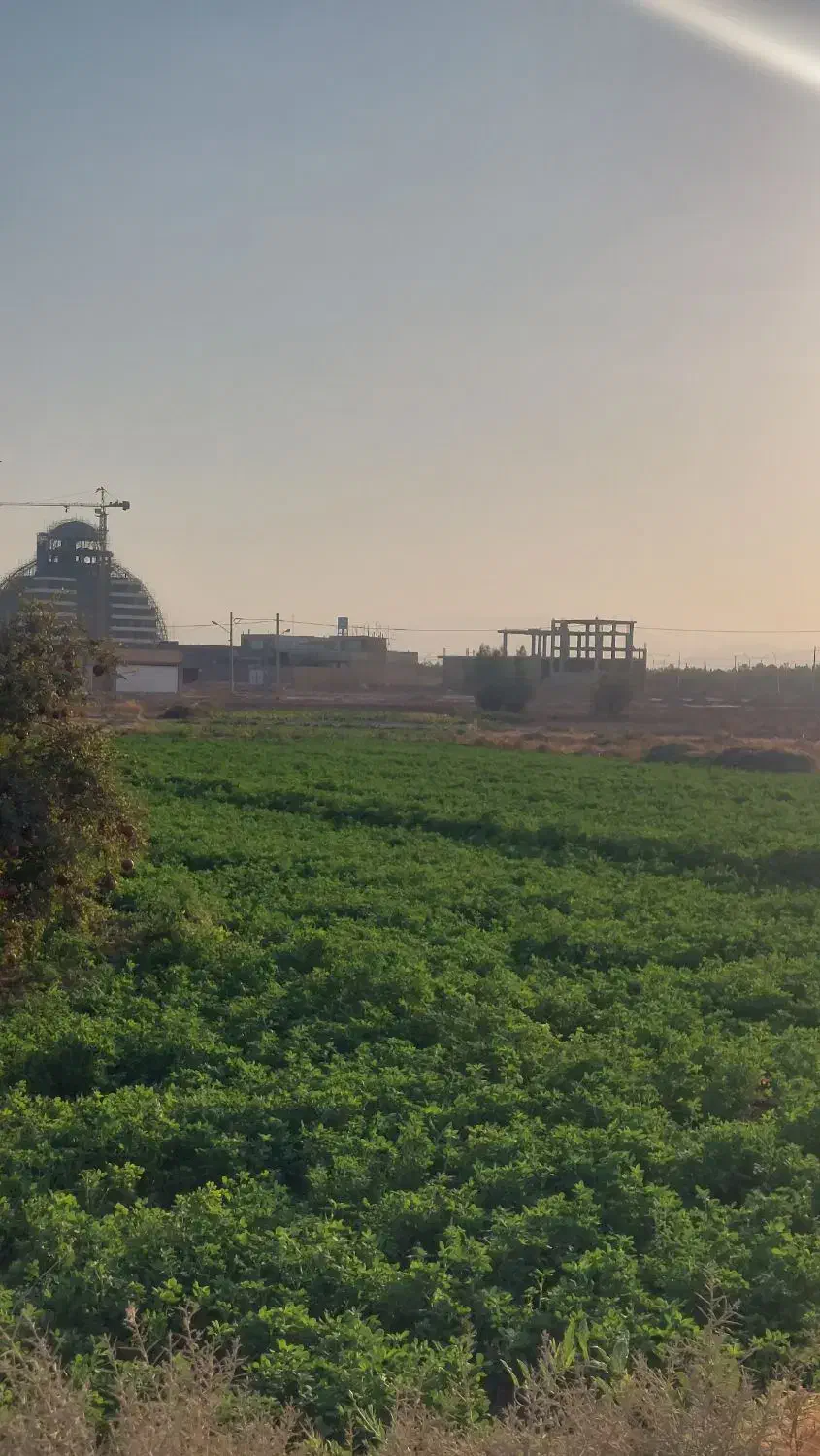 زمین ۱۰۰۰ متر واقع در شهر میبد|فروش زمین و ملک کلنگی|میبد, |دیوار