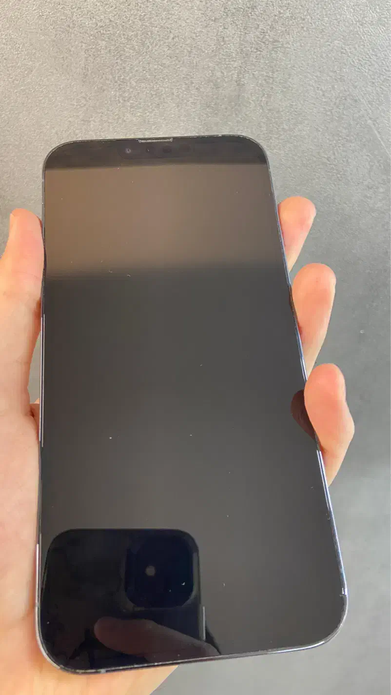 ایفون ۱۳ پرومکس ابی|موبایل|شاهین‌شهر, فردوسی|دیوار