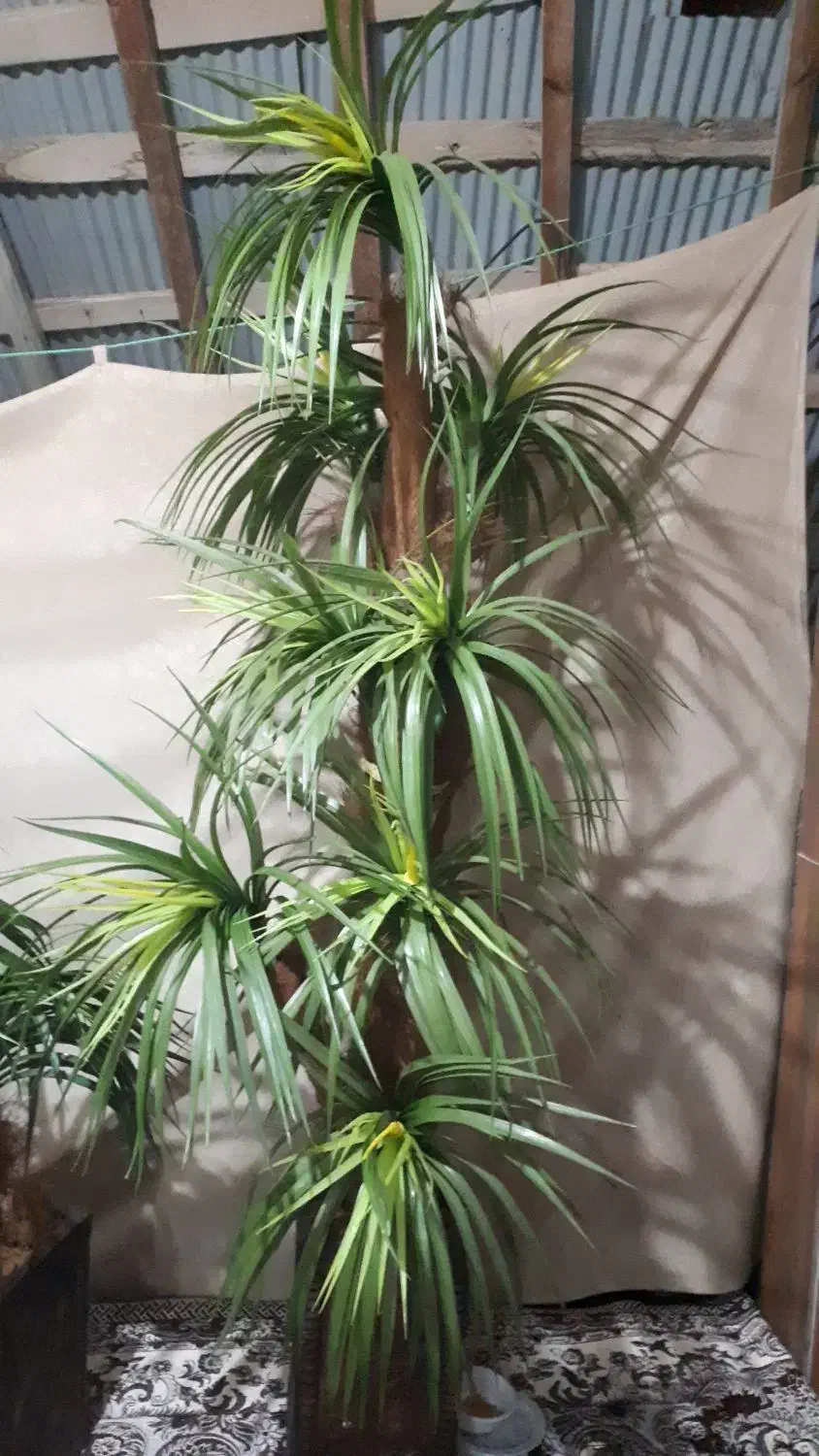 گل مصنوعی واسه دکور خانه، اتاق|گل مصنوعی|آستانه اشرفیه, |دیوار