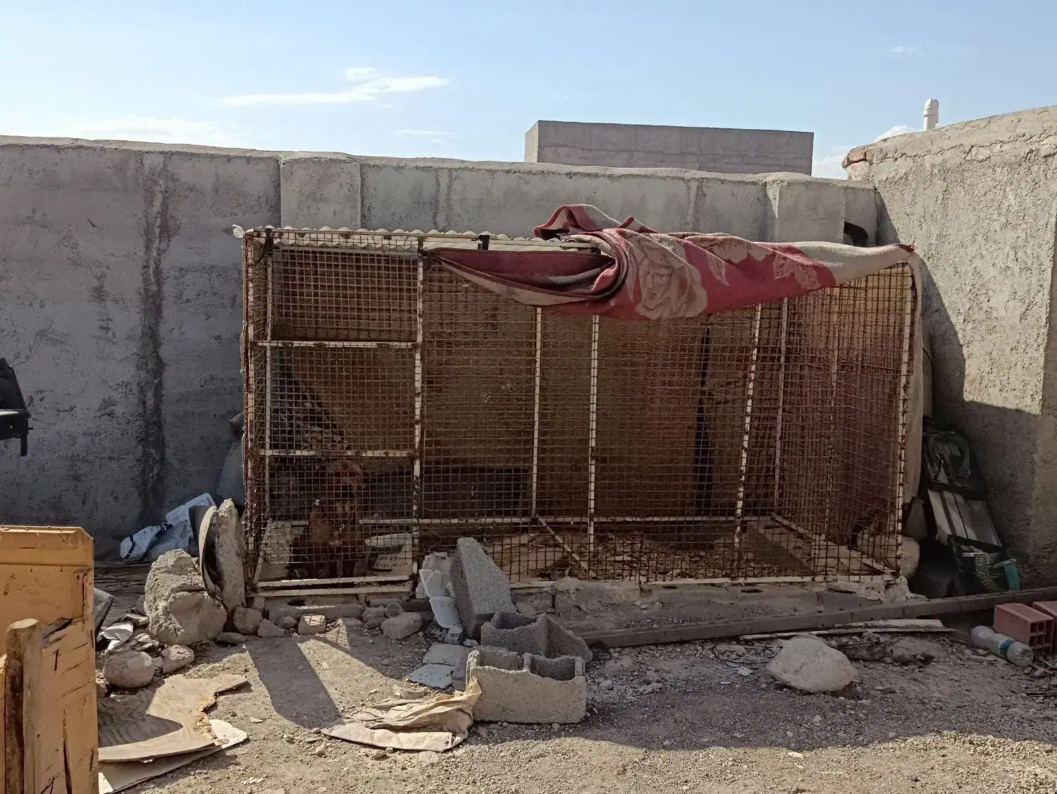 قفس|لوازم جانبی حیوانات|اردبیل, |دیوار