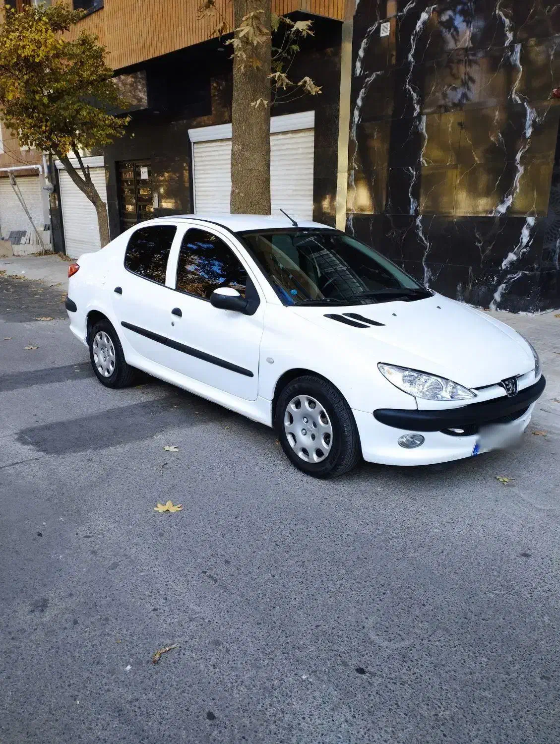 206sdV8مدل 96|خودرو سواری و وانت|همدان, |دیوار