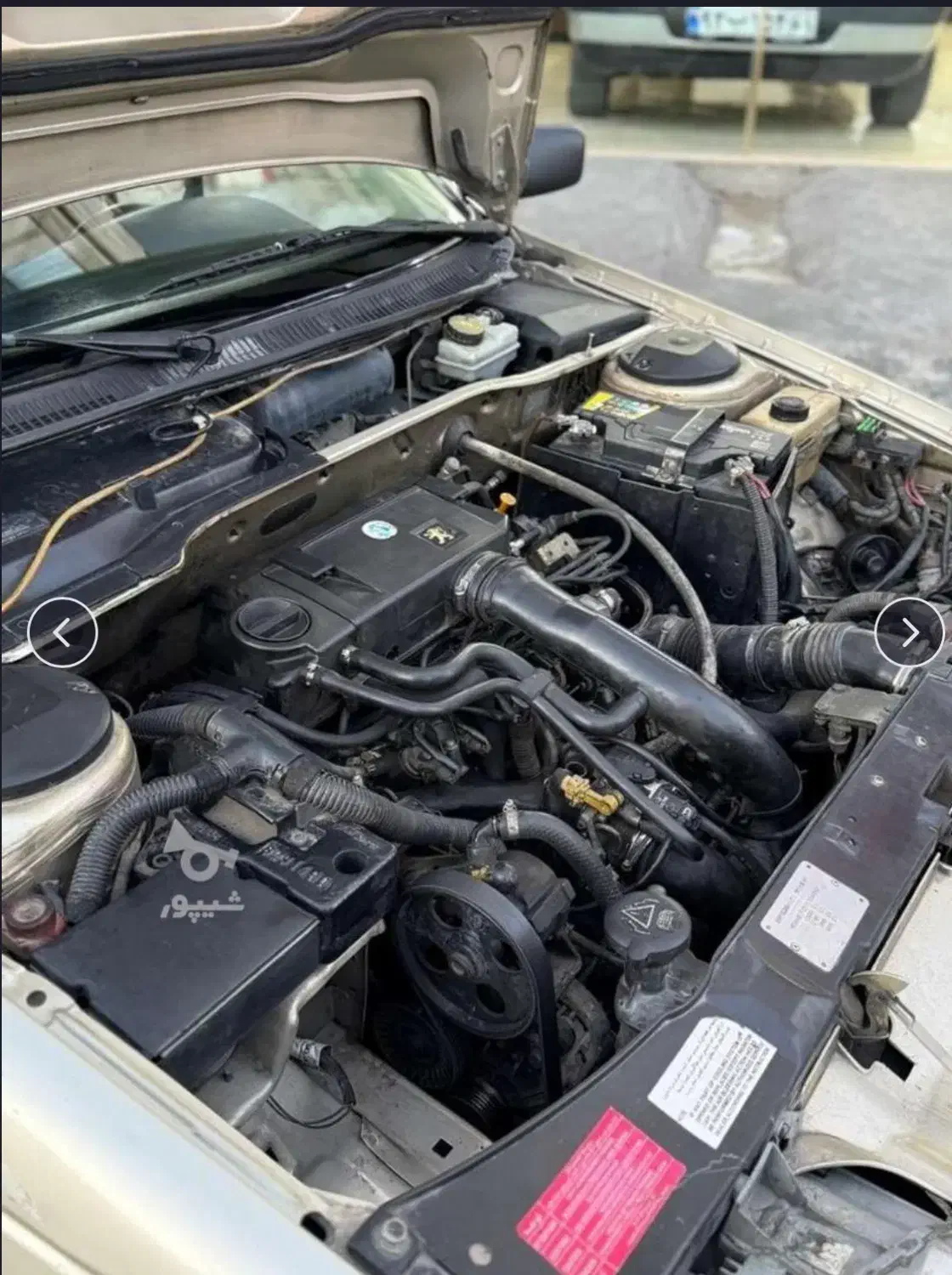 فروش فوری پرشیا پژو پارس|خودرو سواری و وانت|بابلسر, |دیوار