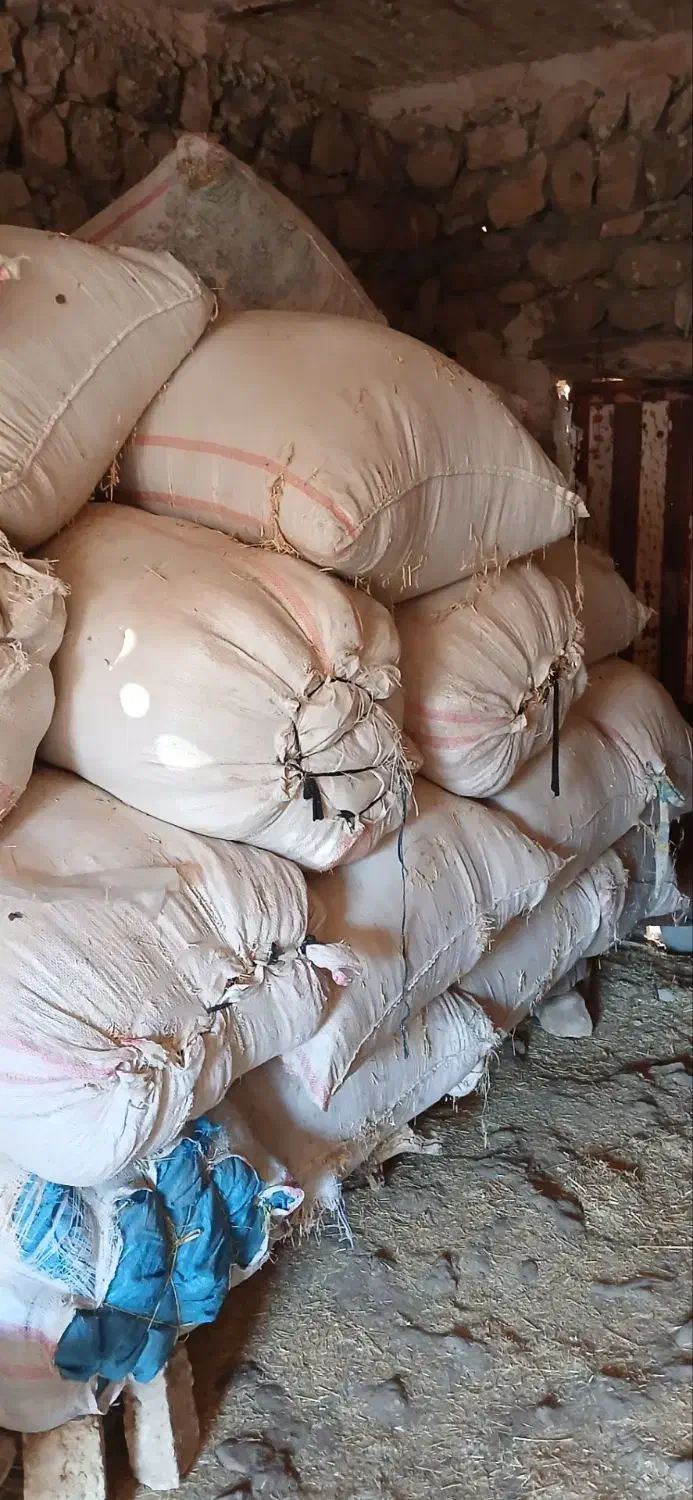 کاه|حیوانات مزرعه|کوهنانی, |دیوار