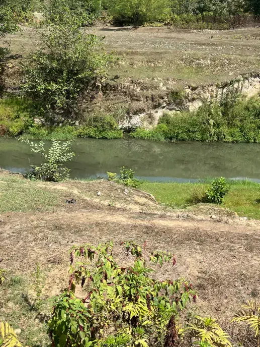 ۱۳۰۰۰ متر زمین ویژه سرمایهگذاری در گیلان|فروش دفتر صنعتی، کشاورزی، تجاری|شفت, |دیوار