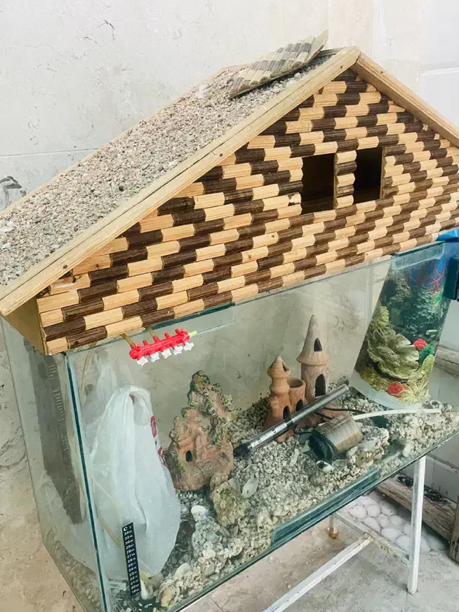 آکواریوم بزرگ|ماهی|دوگنبدان, |دیوار