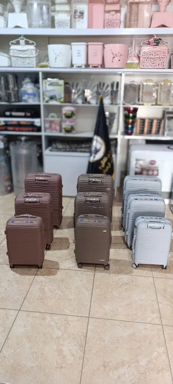 چمدان|کیف، کفش، کمربند|ایلام, |دیوار