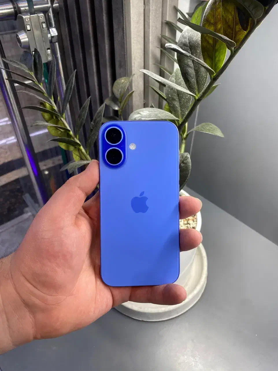 iPhone 16 128 g. Ch|موبایل|تهران, آسمان|دیوار