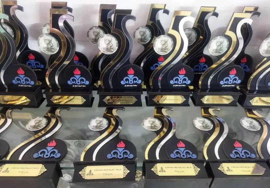 تندیس اختصاصی پلکسی چوبی|مجسمه، تندیس، ماکت|تهران, بلوار کشاورز|دیوار