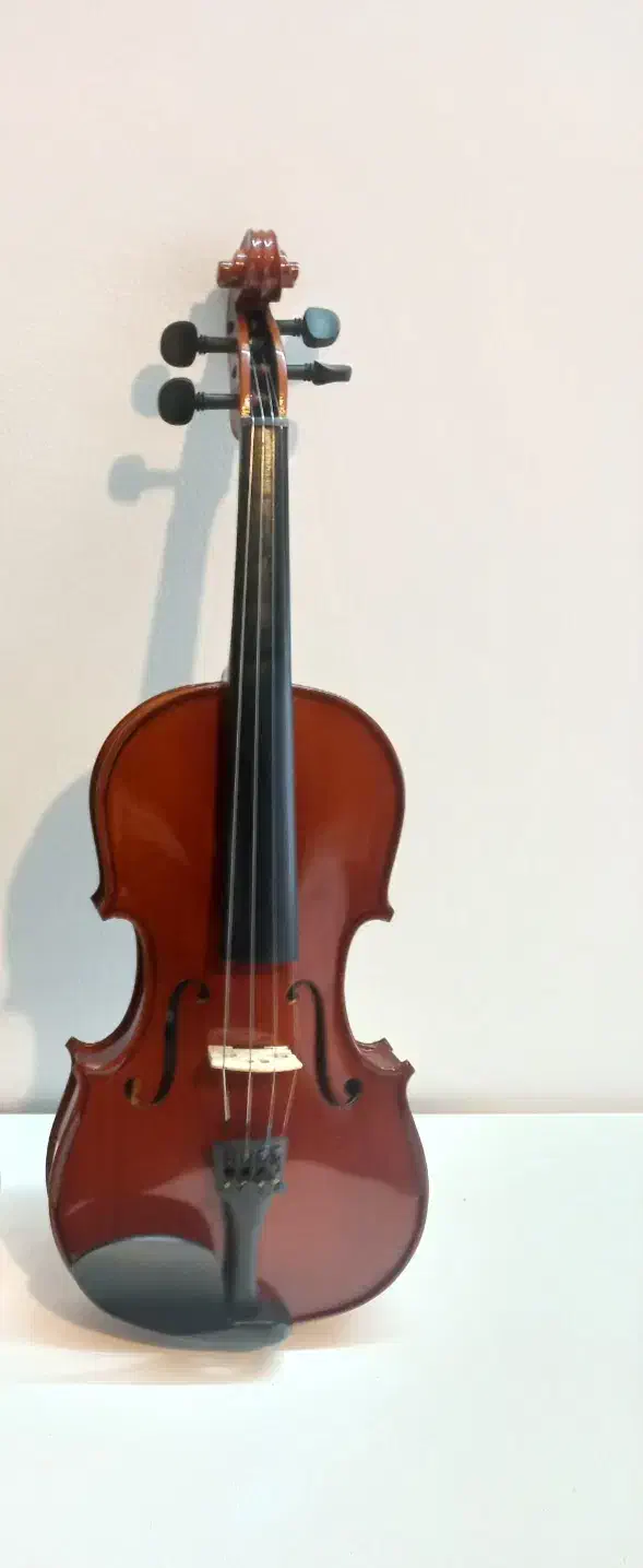 فروش ۲ مدل ویولن|ویولن|لاهیجان, شهرک سلمان فارسی|دیوار