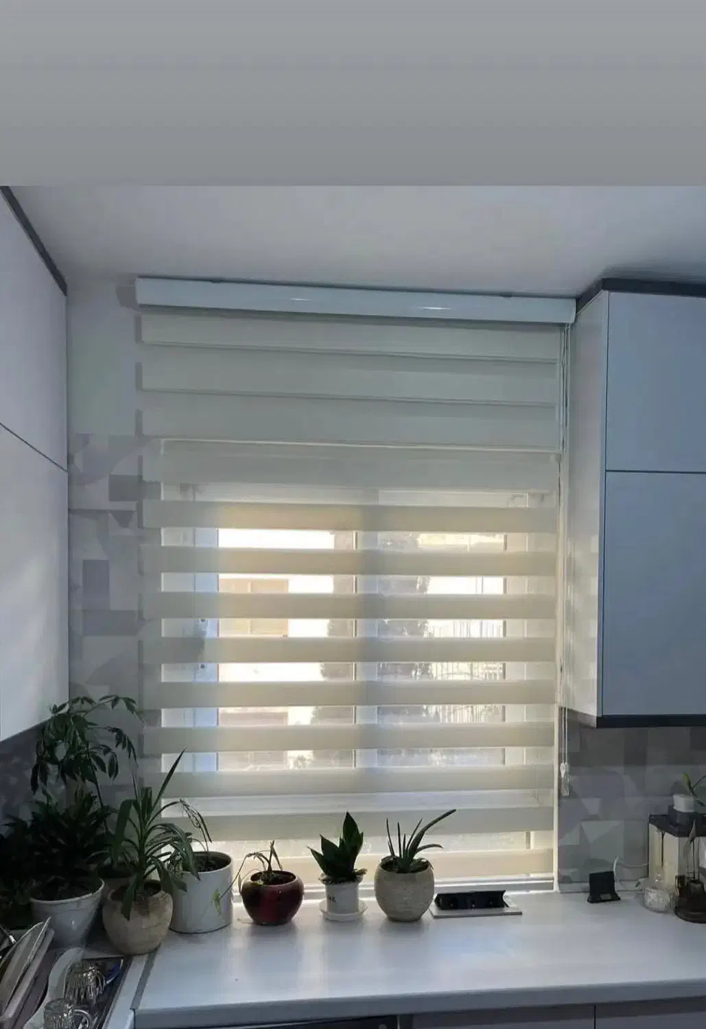 فروش ویژه زبرا شرکتی|پرده، رانر، رومیزی|جیرفت, |دیوار