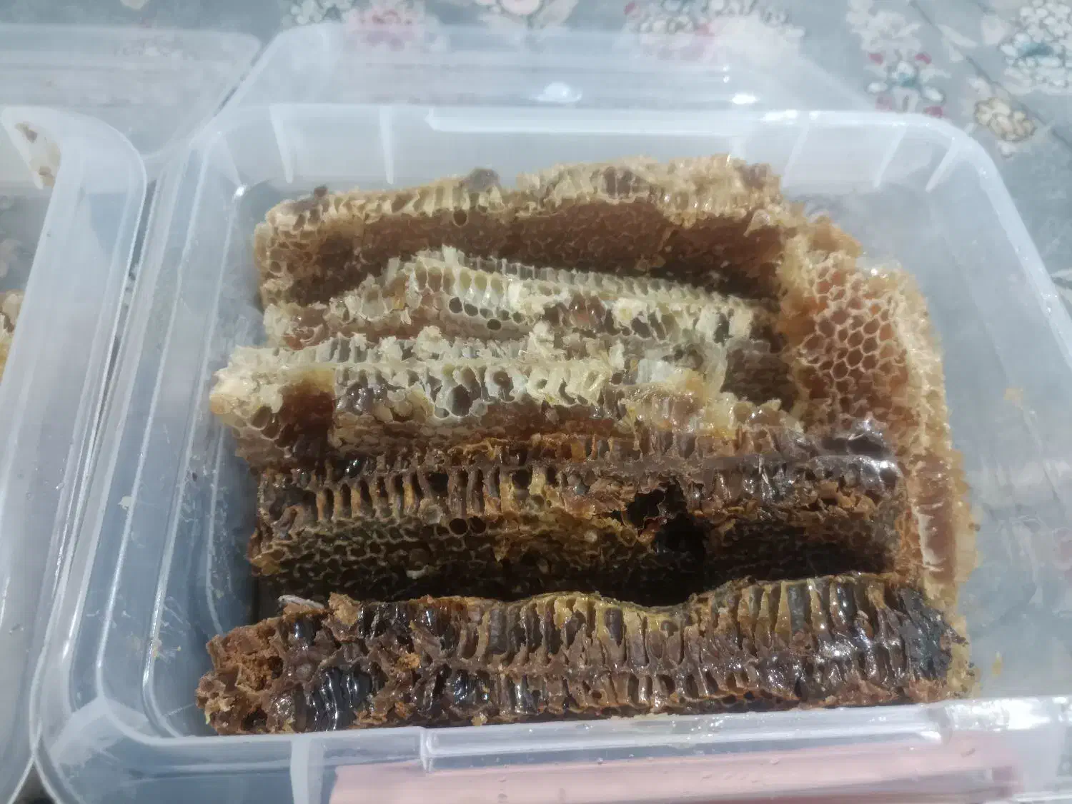 عسل طبیعی کوهستان|خوردنی و آشامیدنی|جوانرود, |دیوار