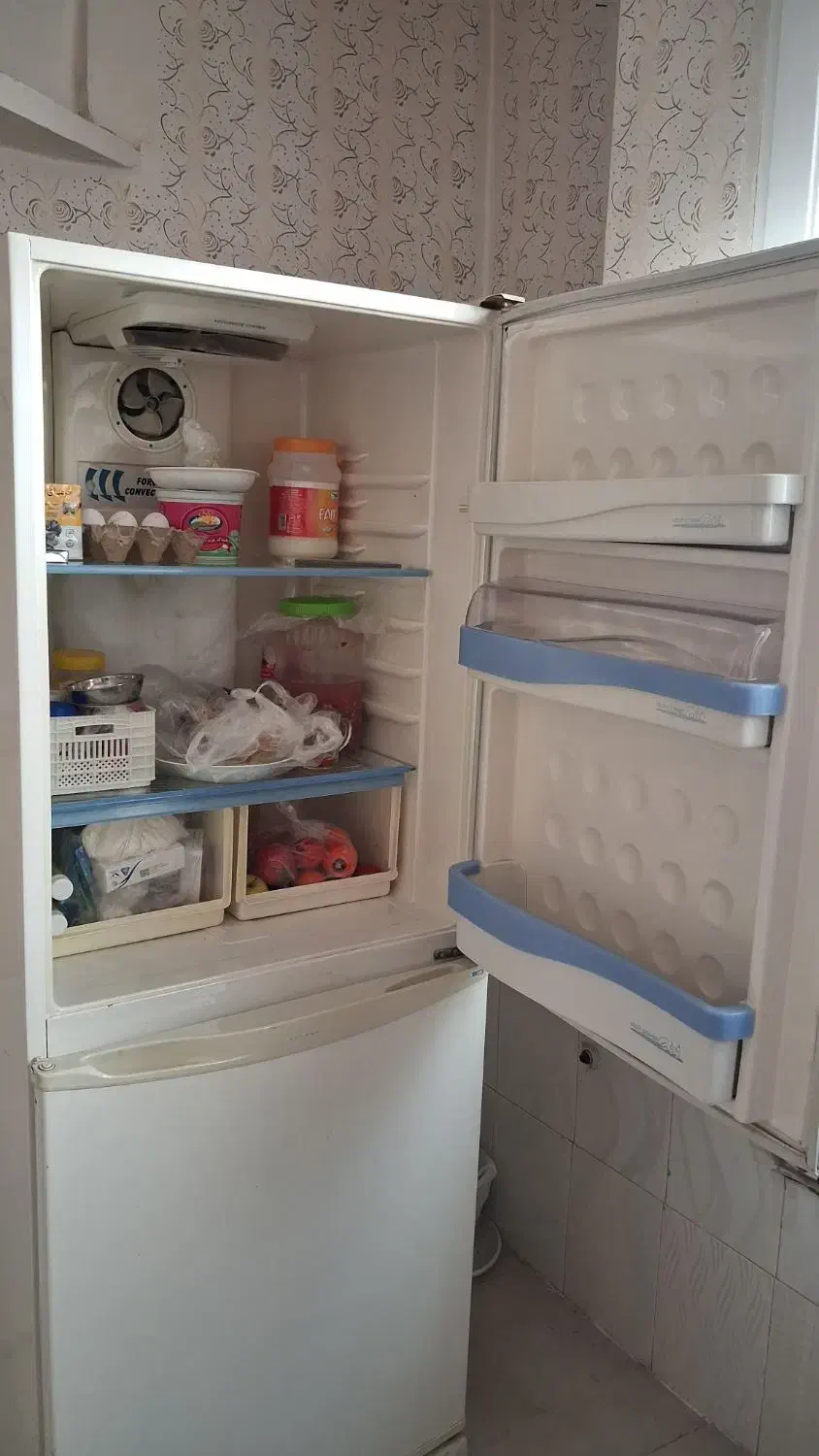 یخچال و فیریزر|یخچال و فریزر|مشهد, چهارچشمه|دیوار