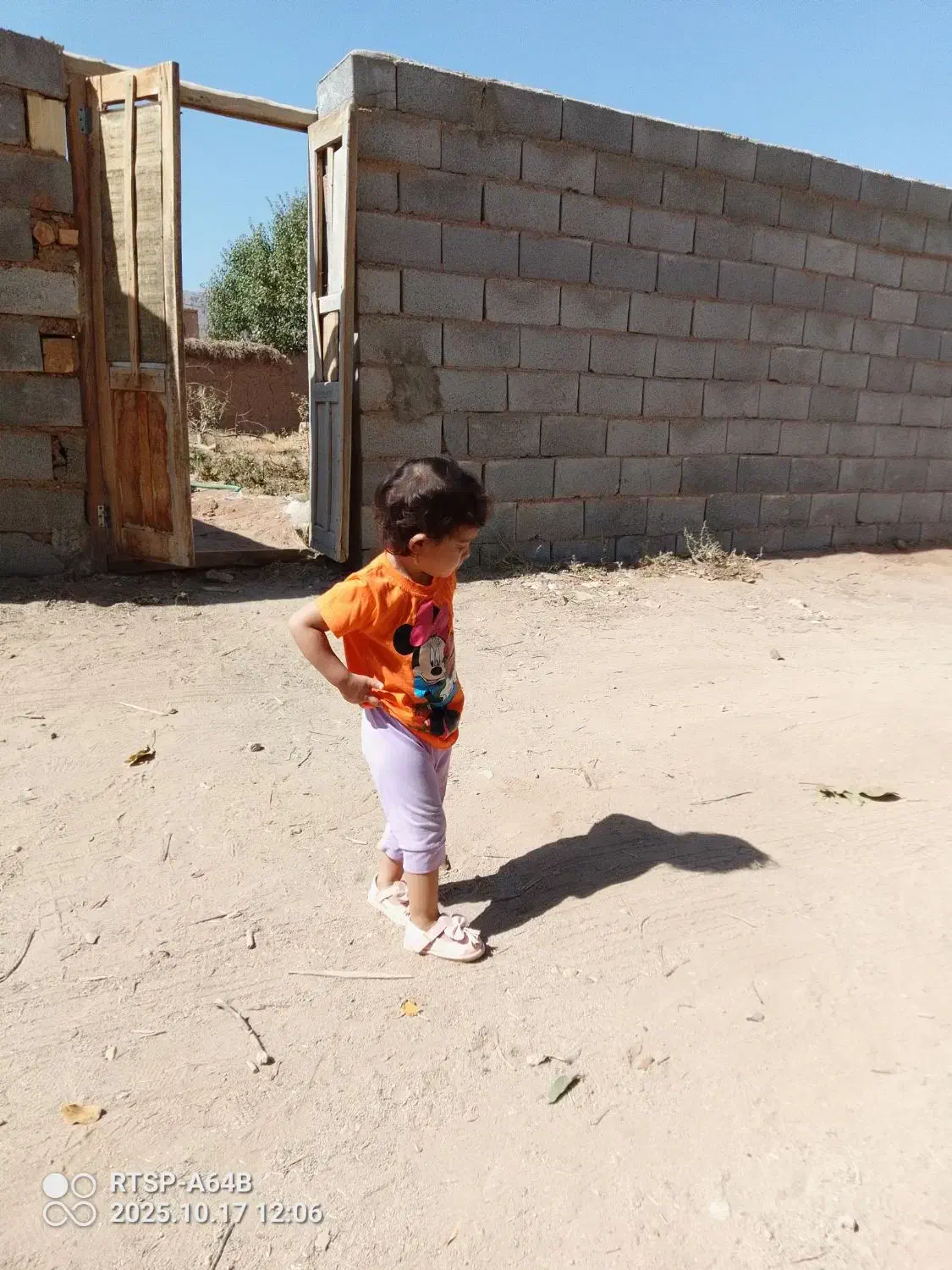 زمین.۴.هزارمتر|فروش زمین و ملک کلنگی|حمیدیا, |دیوار