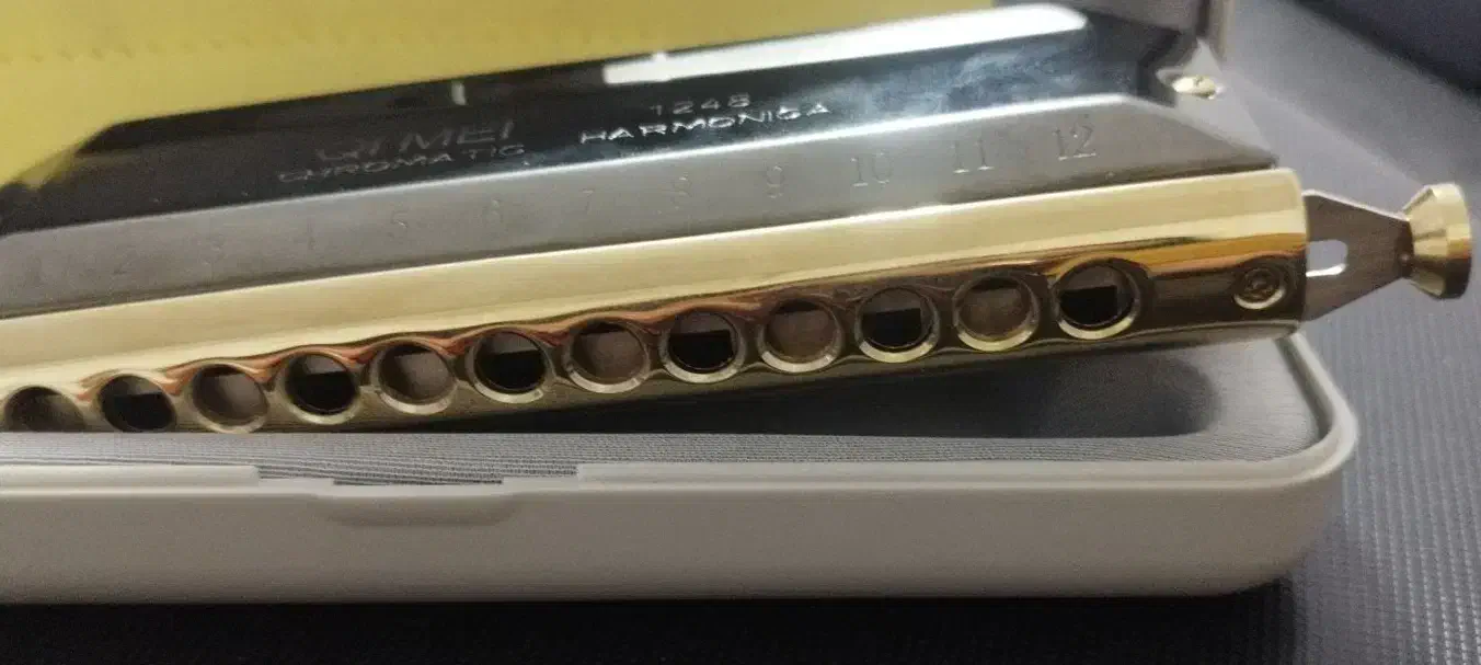 ساز دهنی هارمونیکا|سازهای بادی|کرمان, |دیوار