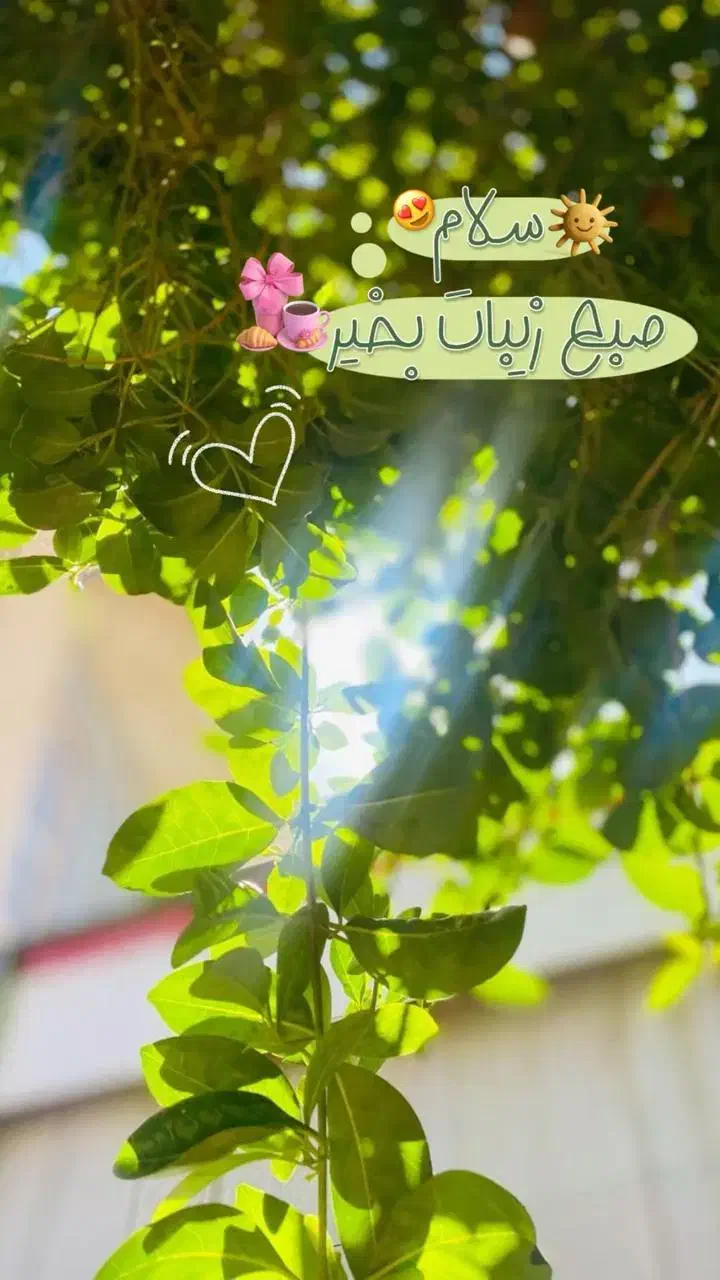 ۲۰قصب زمین درنگار|فروش زمین و ملک کلنگی|نگار, |دیوار