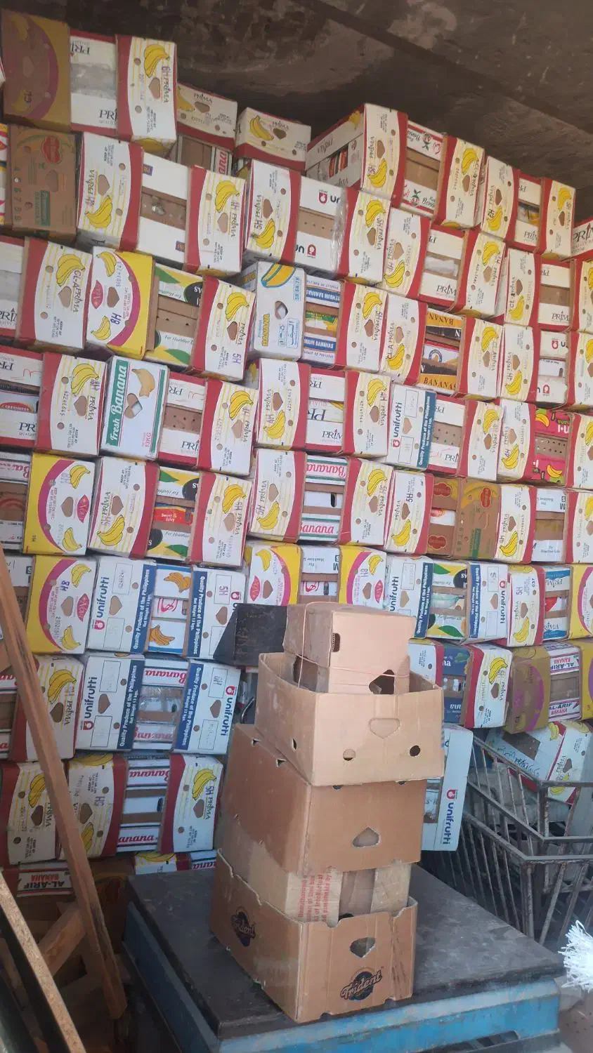 خرید و فروش سبد|عمده‌فروشی|مشهد, نوید|دیوار