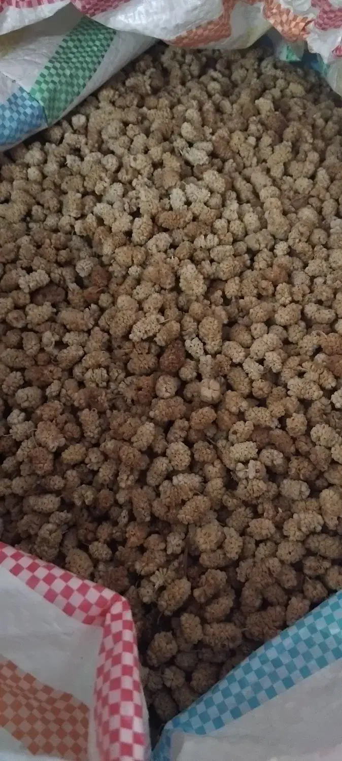 توت خشک شیرین و خوشمزه |خوردنی و آشامیدنی|شاهدشهر, |دیوار