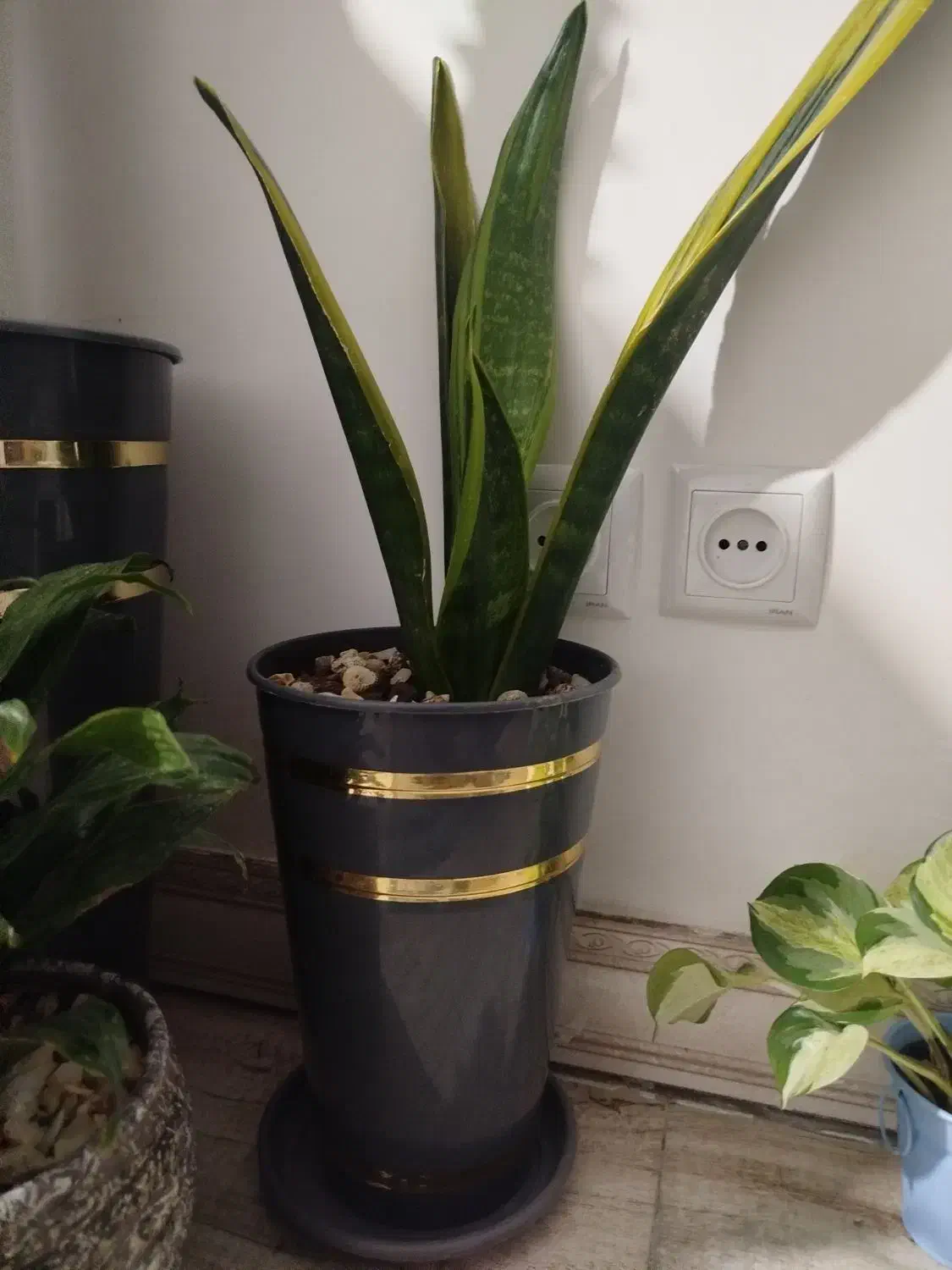 حراج وسایل|حراج|زنجان, |دیوار