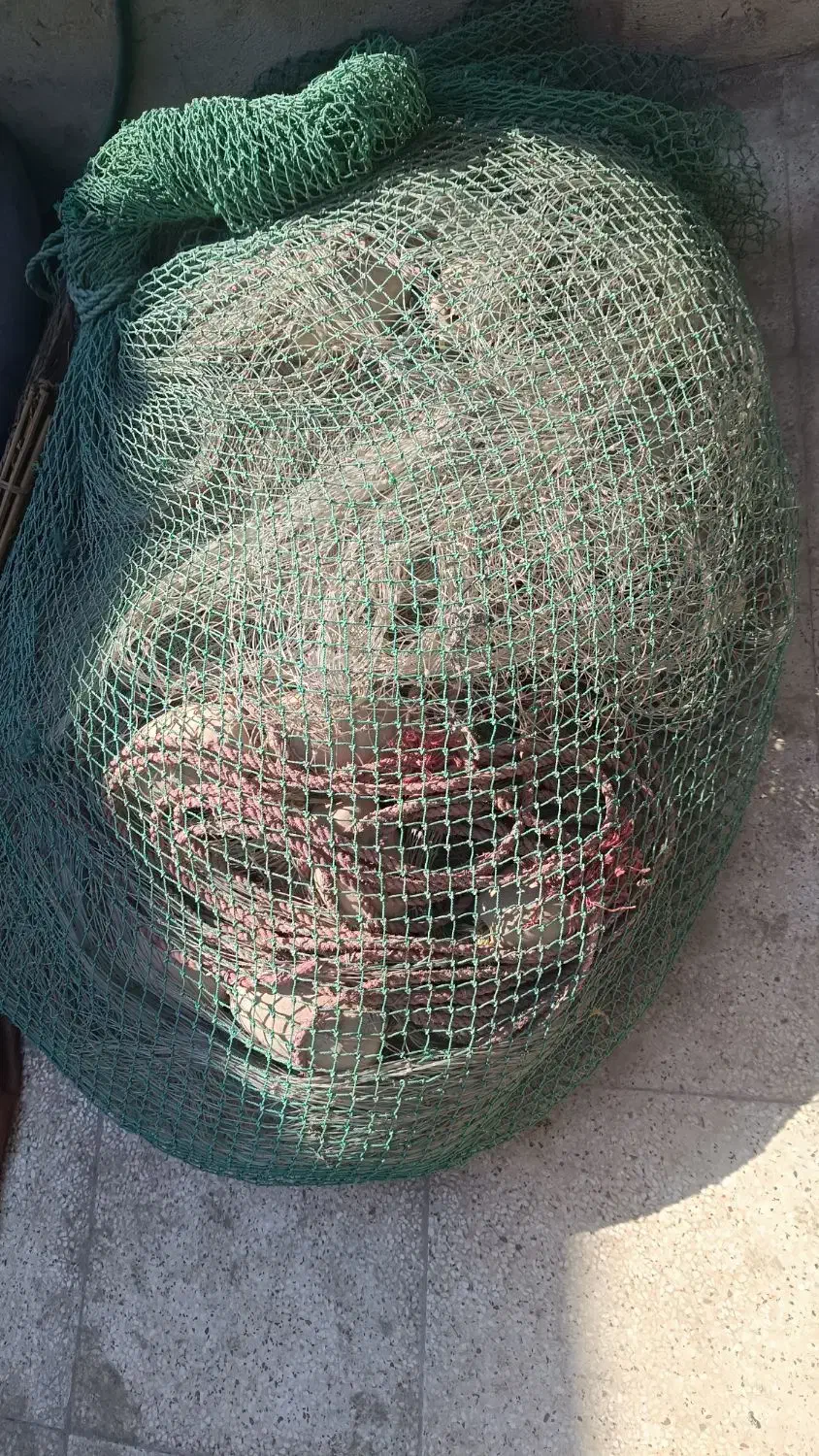 جل صیادی|ماهیگیری|بندرعباس, |دیوار