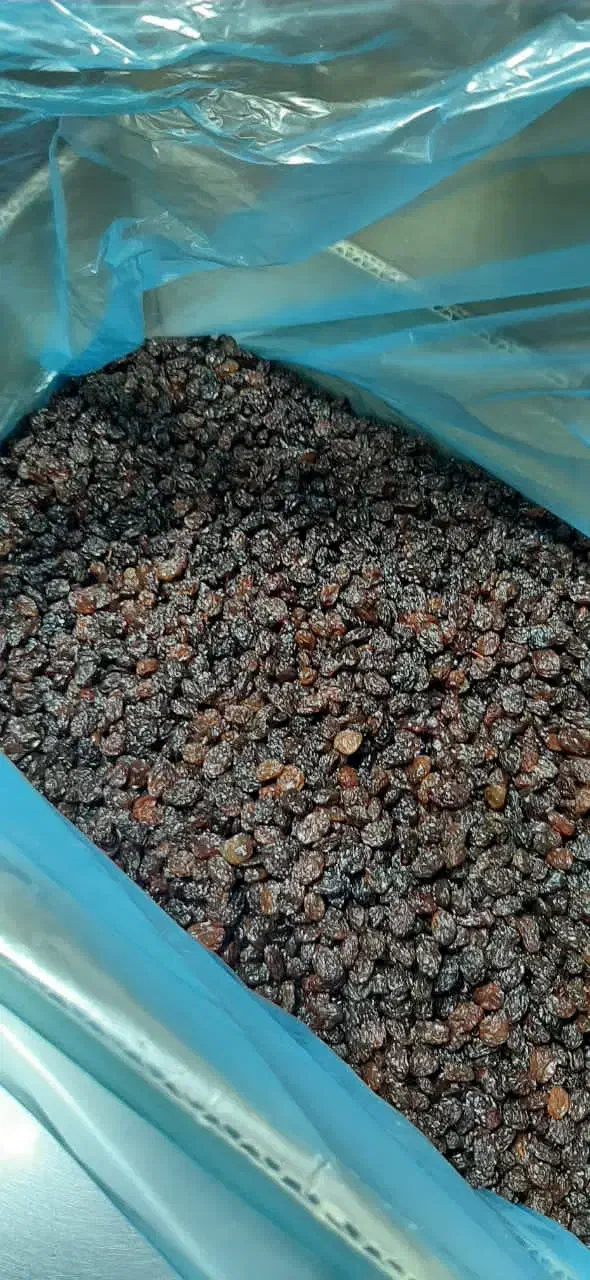 انواع کشمش بیدانه|خوردنی و آشامیدنی|شال, |دیوار