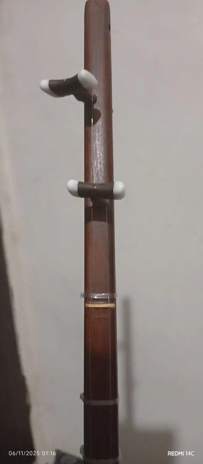 دوتار کرمانج|سازهای سنتی|نیشابور, گنبد سبز|دیوار