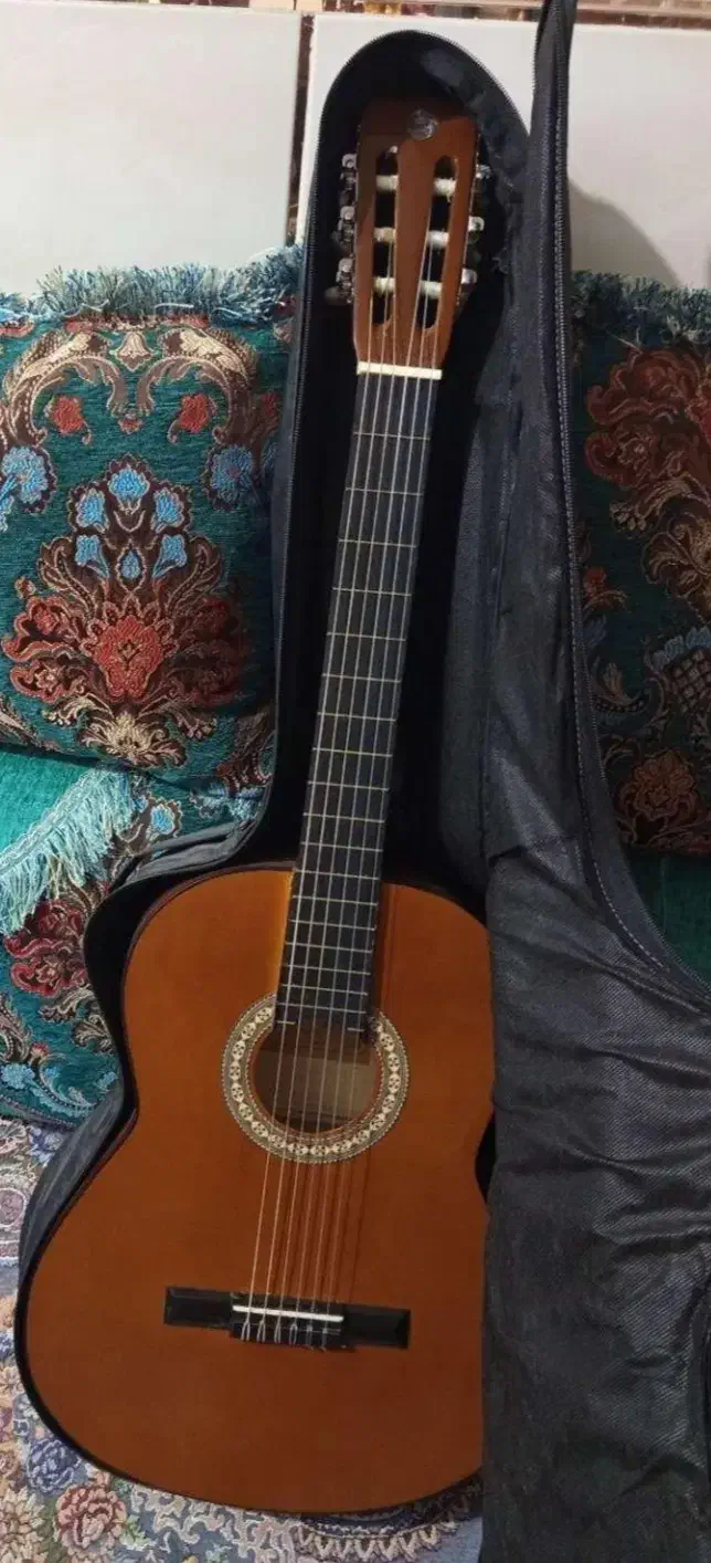 فروش گیتار|گیتار، بیس، امپلیفایر|نیک شهر, |دیوار