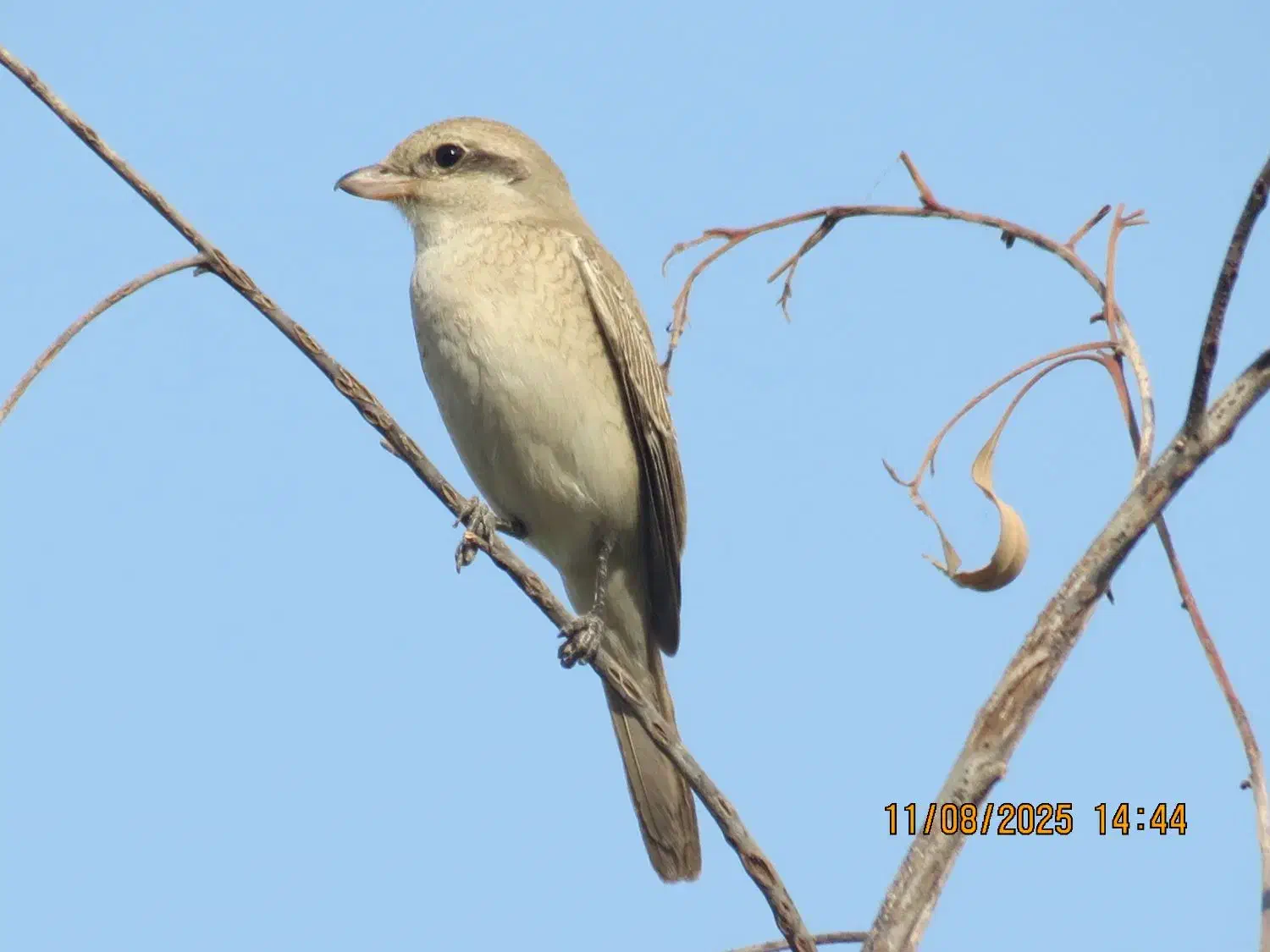 دوربین کنون مدل sx40hs|دوربین عکاسی و فیلم‌برداری|دهدشت, |دیوار