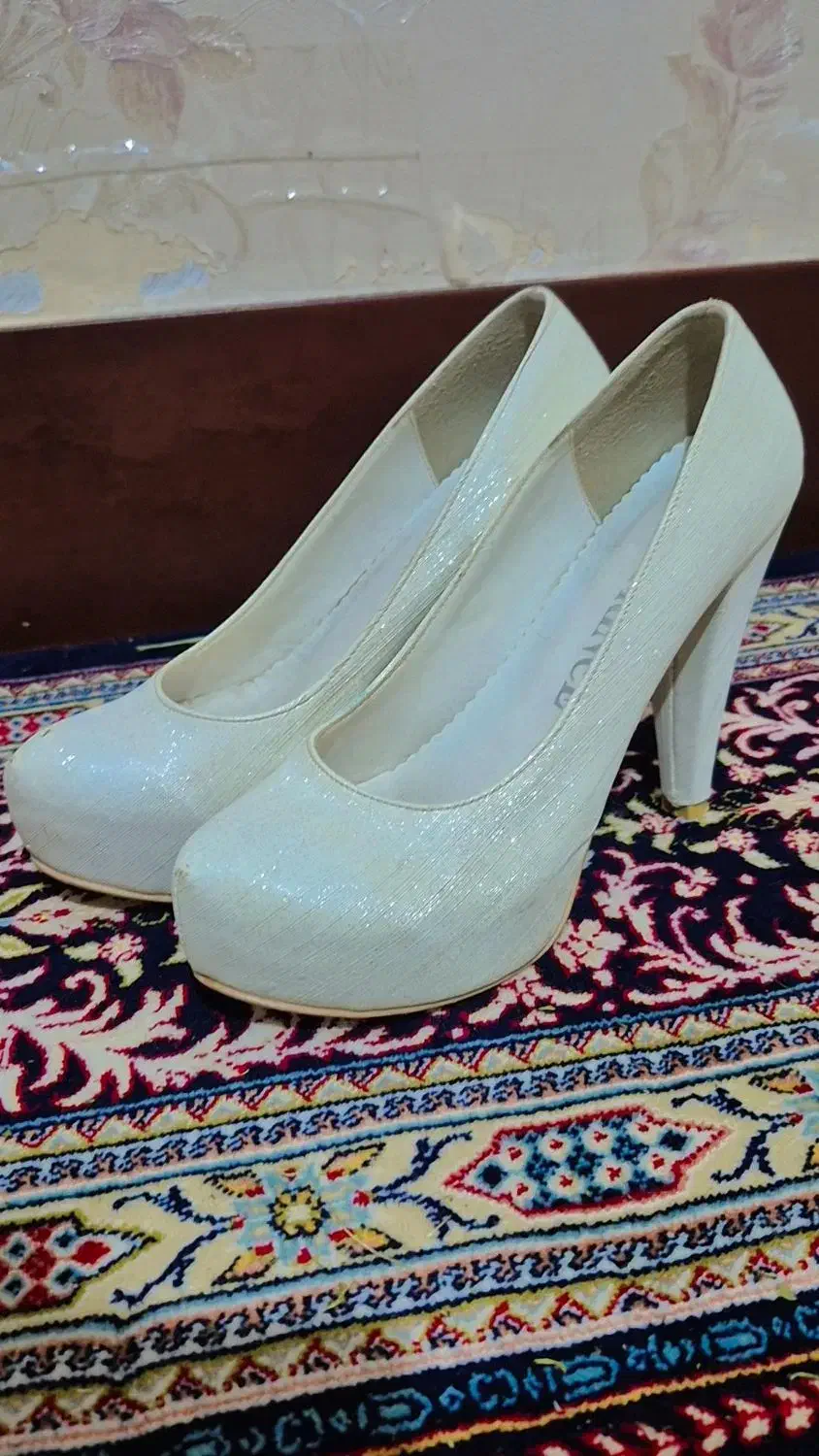 کفش مجلسی|کیف، کفش، کمربند|بیجار, |دیوار