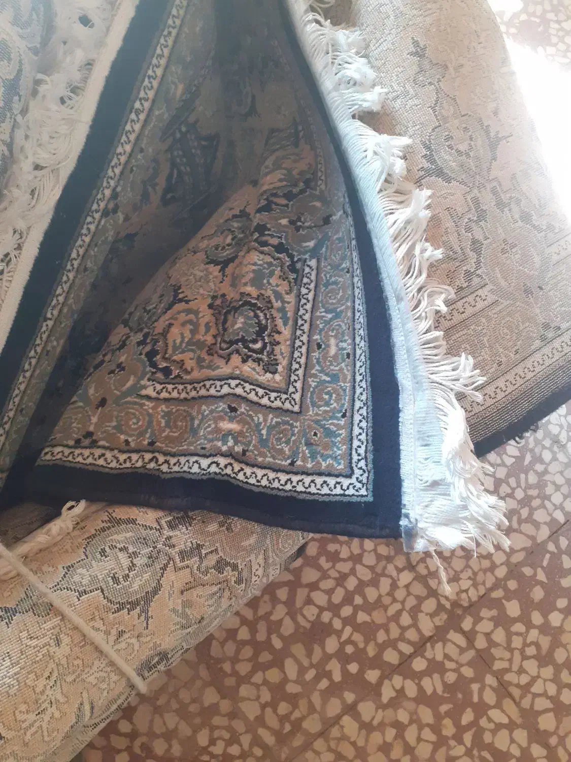 فرش ۱۲متری|فرش|کنگاور, |دیوار