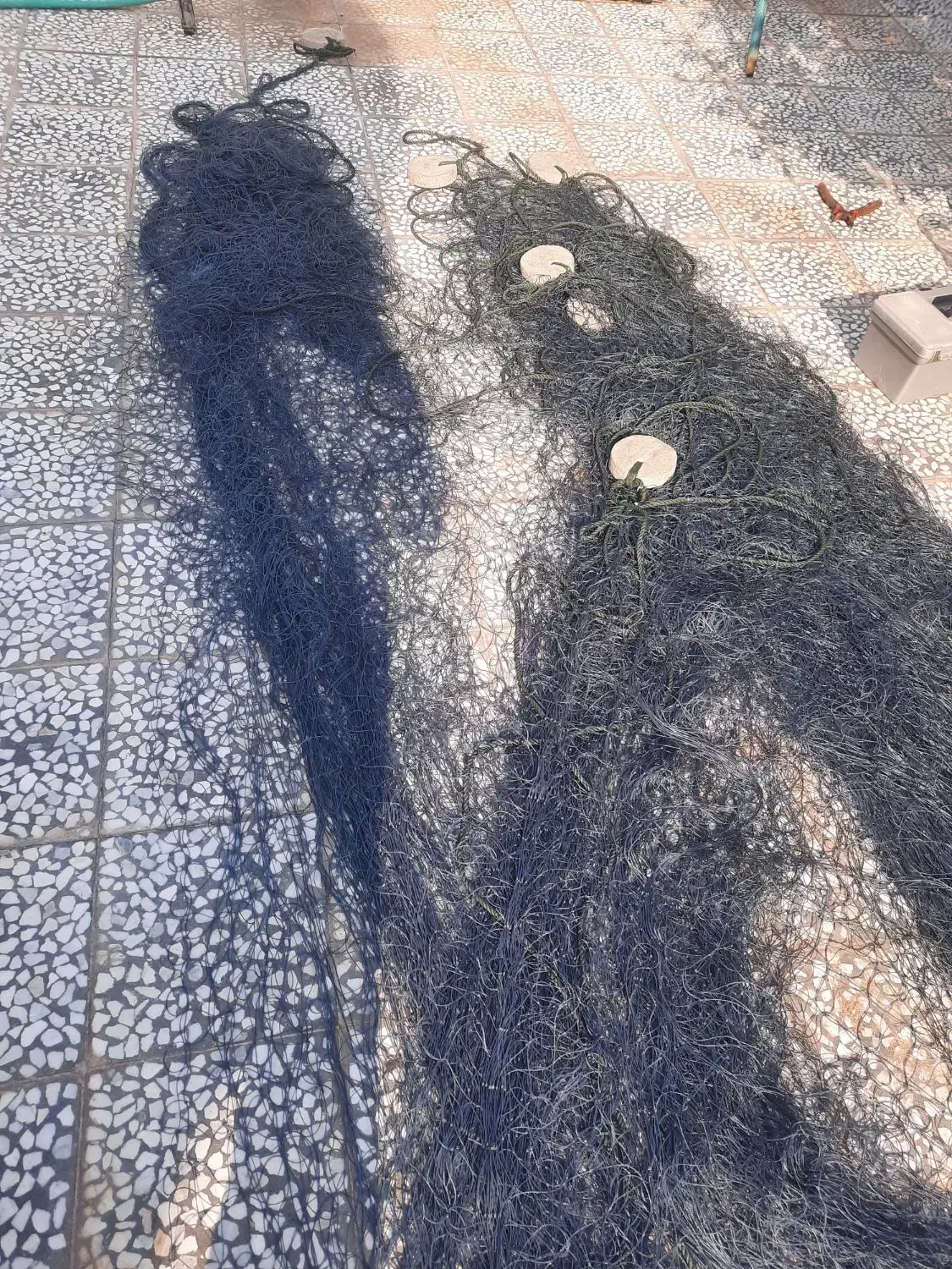 تور شیری|ماهیگیری|دلوار, |دیوار