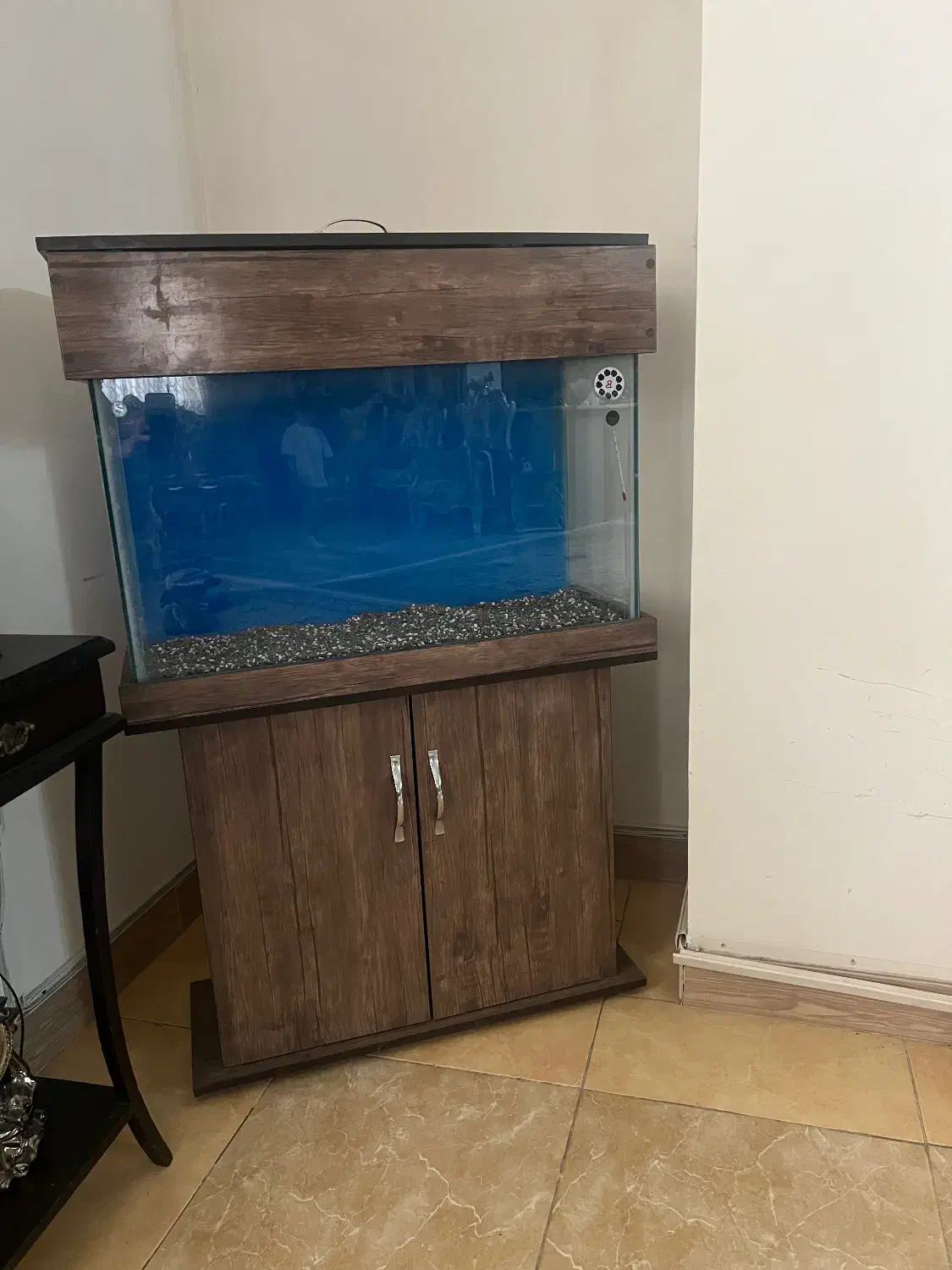 آکواریوم|ماهی|کرج, شهرک خاتم النبیا|دیوار