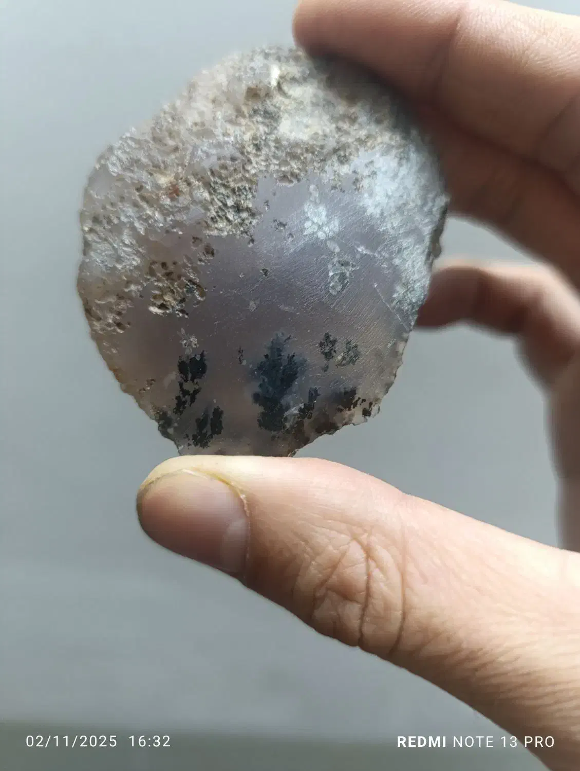 راف شجرمشکی تک درخت|جواهرات|یزد, |دیوار