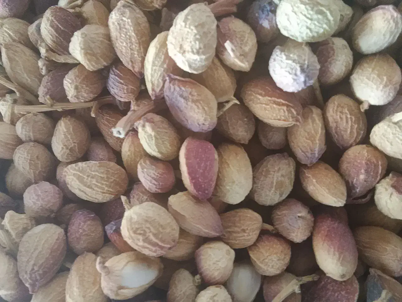 کارگر خانم|استخدام خدمات فروشگاه و رستوران|باقرشهر, |دیوار