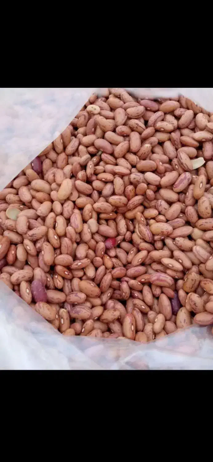 لوبیاچیتی|خوردنی و آشامیدنی|شیراز, شیخ علی چوپان|دیوار