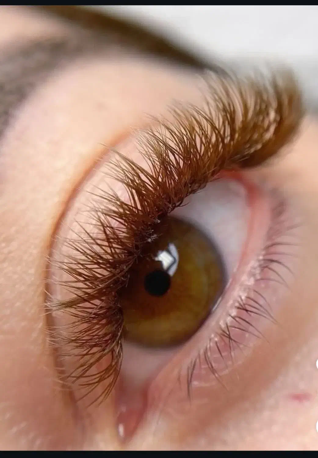 ۳۰۰ هزار تومن اعتبار اکستنشن و مژه کاشت هیدن|خدمات آرایشگری و زیبایی|شاهرود, |دیوار