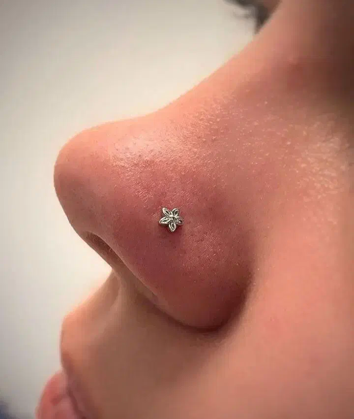 مرکز تخصصی انواع پیرسینگ گوش،لب،بینی|خدمات آرایشگری و زیبایی|هشتگرد, شهرک ولیعصر (مصلی)|دیوار