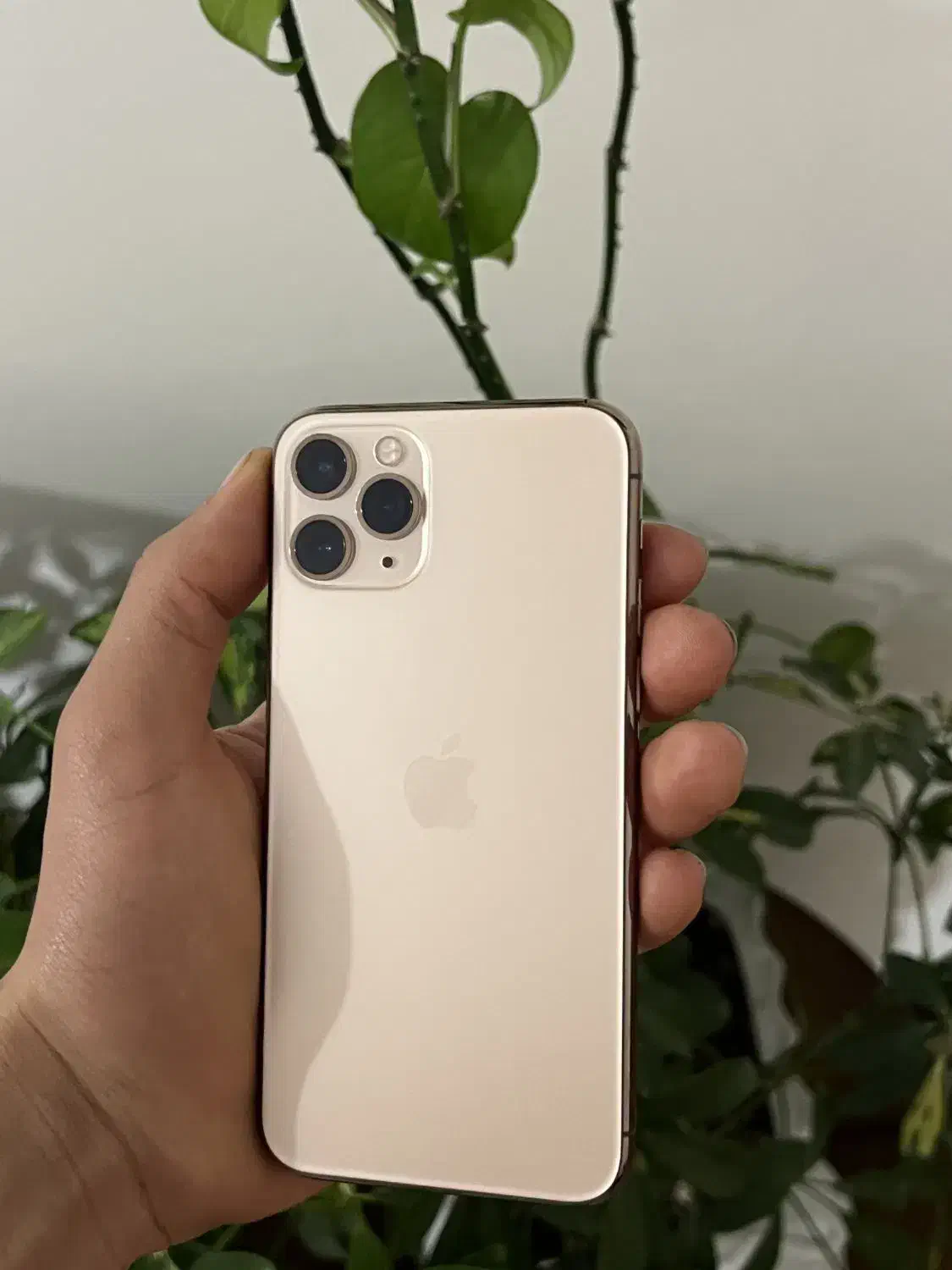 ایفون ۱۱پرو|موبایل|پرند, فاز ۳|دیوار