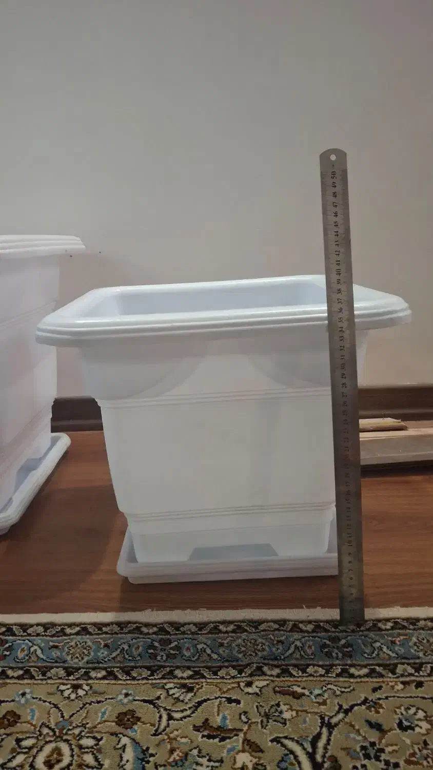 گلدان بزرگ|گل و گیاه طبیعی|تهران, سازمان برنامه شمالی|دیوار