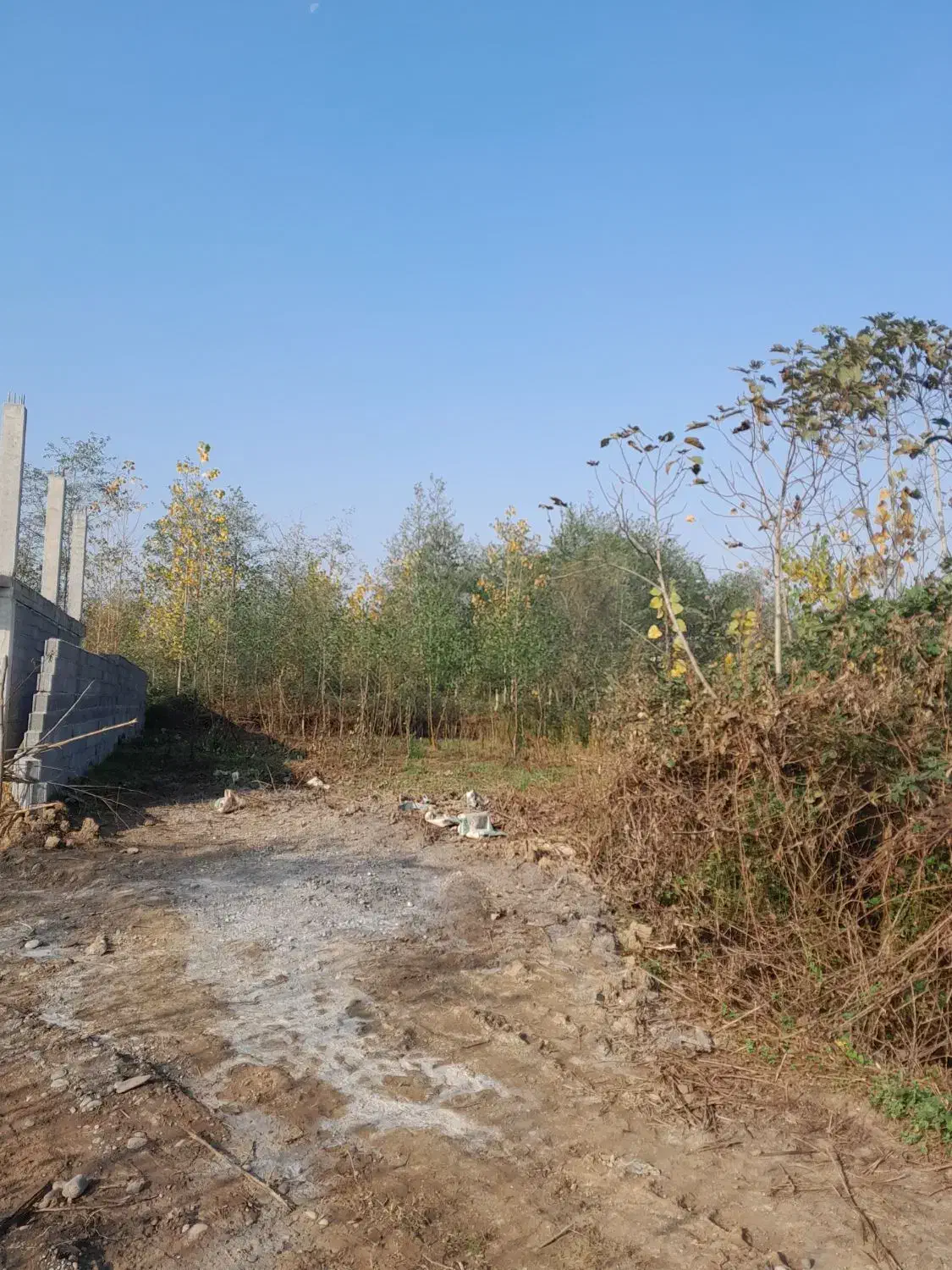 زمین مسکونی|فروش زمین و ملک کلنگی|سیاهکل, |دیوار