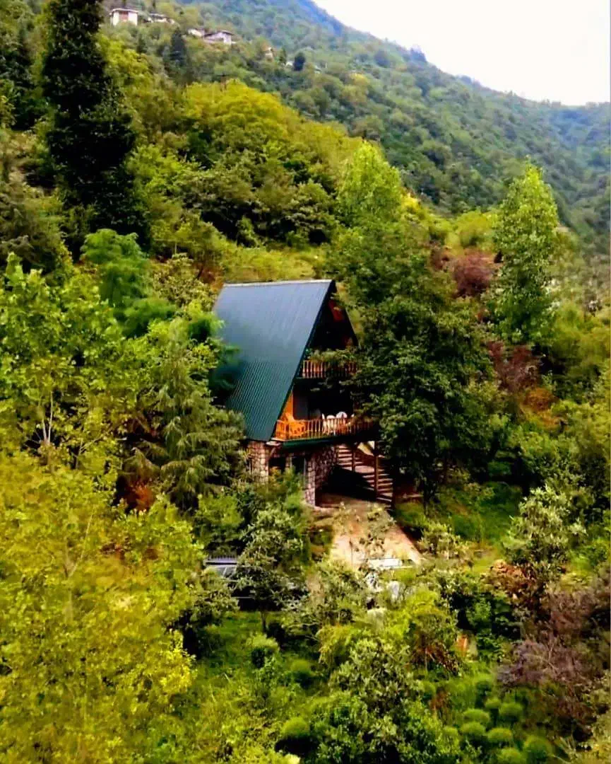 کلبه بهشت تک خوابه دردل جنگل جکوزی کیایی|اجارهٔ کوتاه‌مدت ویلا و باغ|رامسر, |دیوار