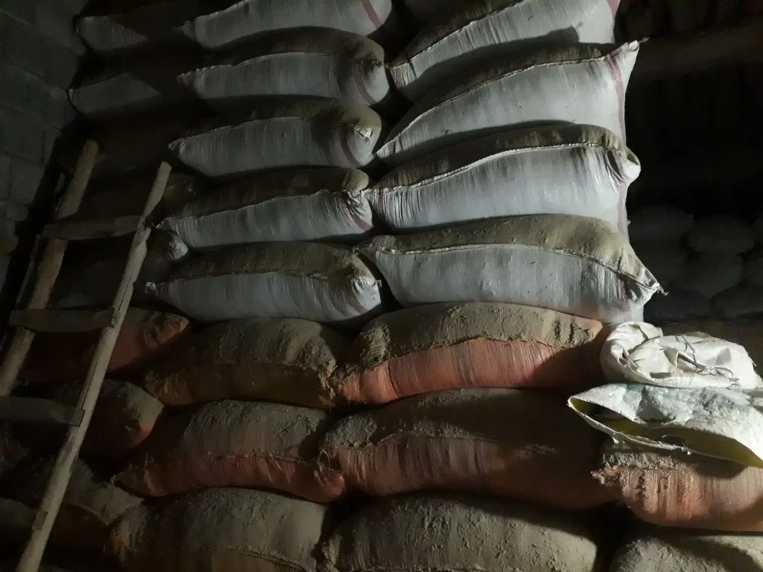 یونجه‌خالص|خدمات باغبانی و درختکاری|موچش, |دیوار