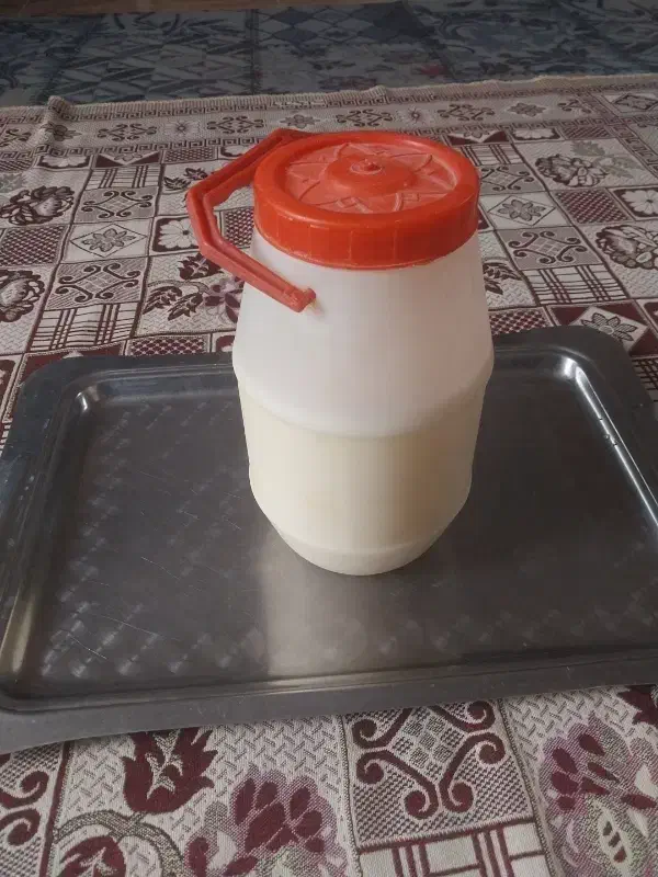 روغن زرداعلا|خوردنی و آشامیدنی|سده (خراسان جنوبی), |دیوار