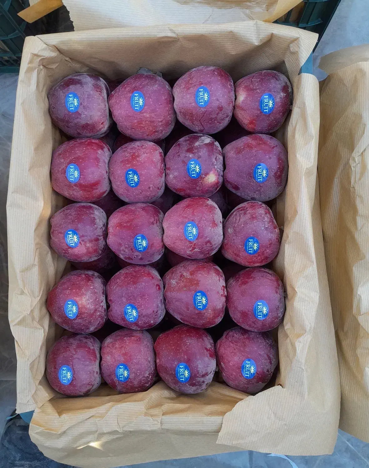 فروش سیب لوکس اشنویه|خوردنی و آشامیدنی|اشنویه, |دیوار