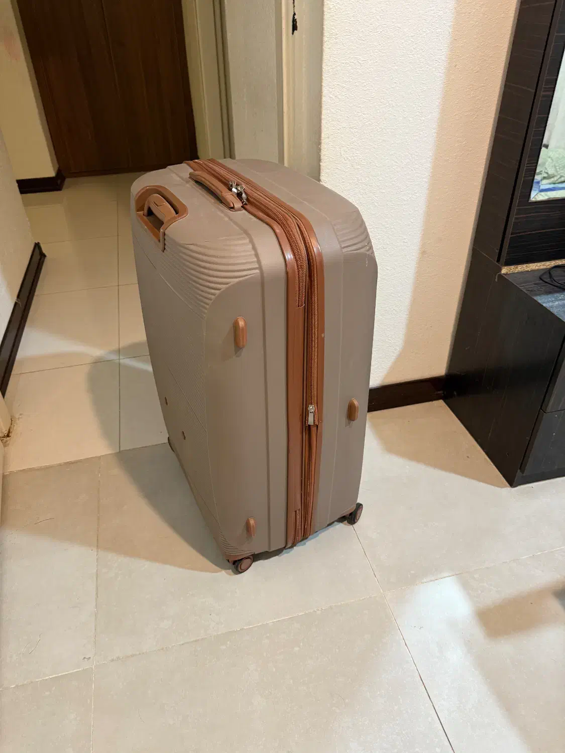 چمدان|کیف، کفش، کمربند|بوشهر, |دیوار