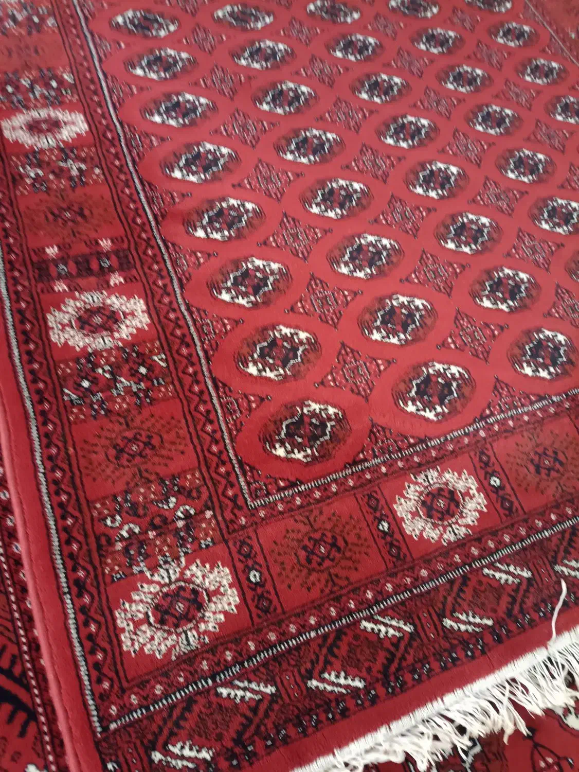 فرش|فرش|گنبد کاووس, |دیوار