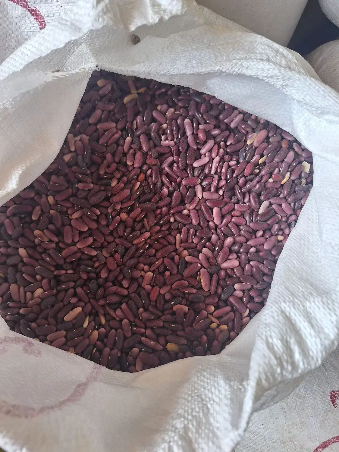 لوبیا قرمز کپسولی(فقط عمده )|خوردنی و آشامیدنی|رستم, |دیوار