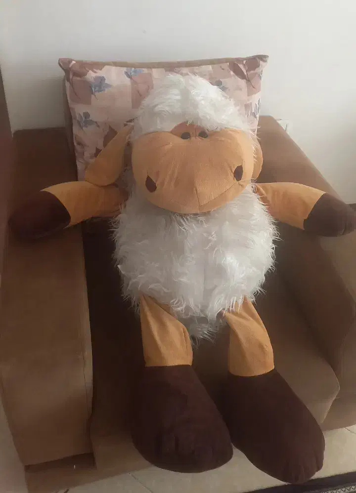 عروسک|اسباب‌بازی بچه|صدرا-فارس, فاز ۱|دیوار