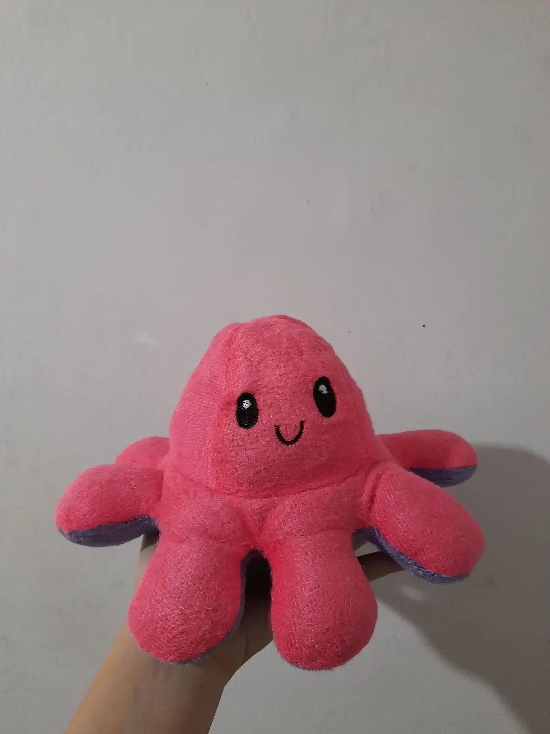 عروسک مودی|اسباب‌‌بازی|رودسر, |دیوار