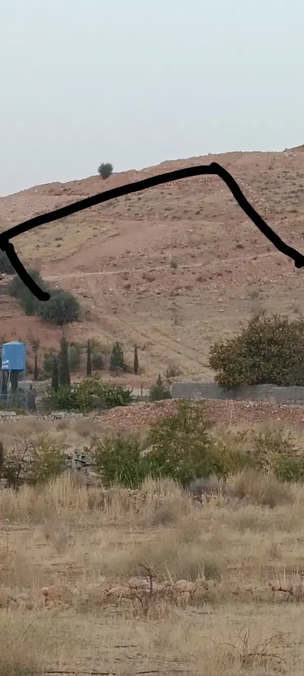 باغشهری ۲۰۰۰ متر|فروش زمین و ملک کلنگی|شیراز, حومه شیراز|دیوار